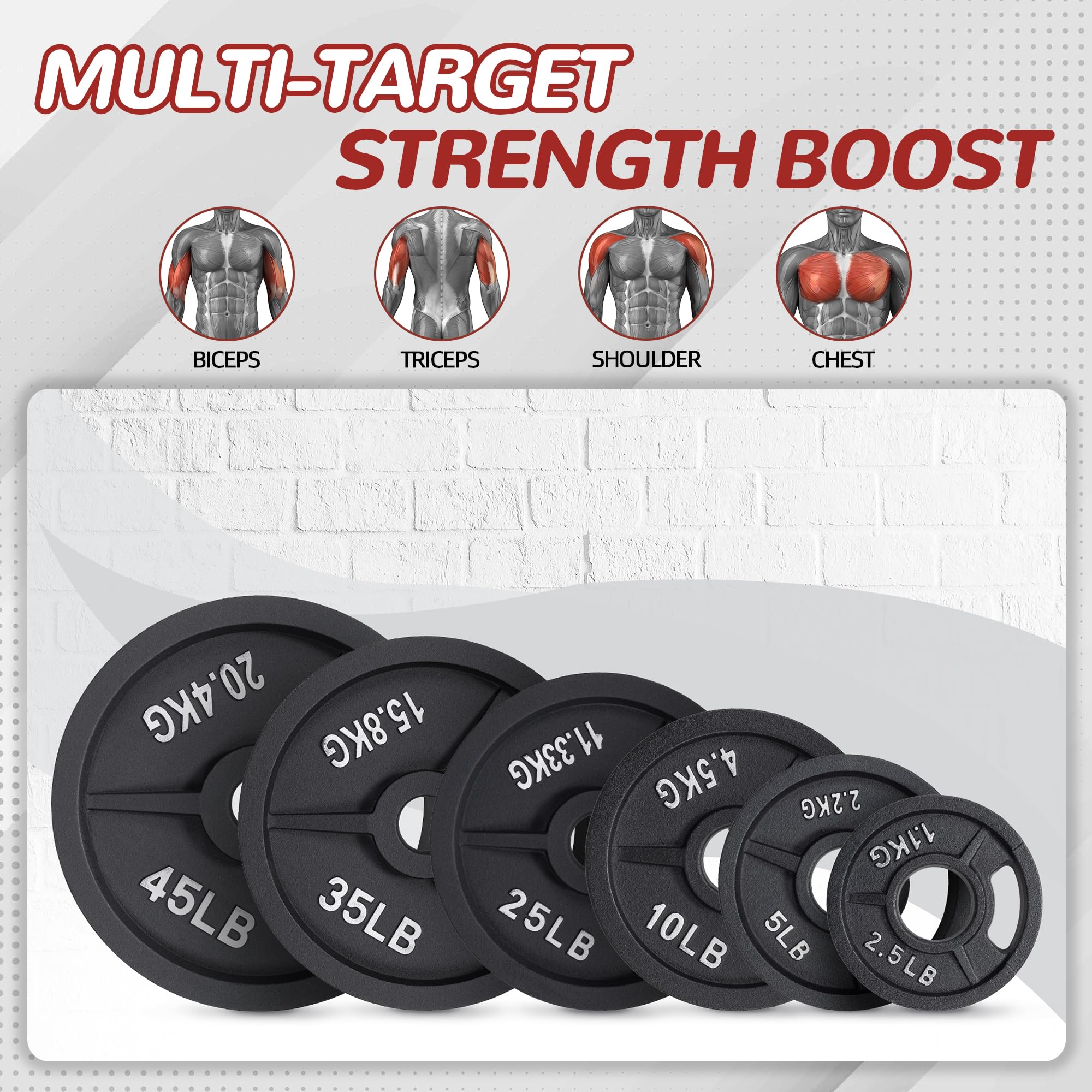 Fitvids Olympic Cast Iron 2-Inch Weight Plate for Strength Training & Weightlifting, 10 LB Set of 4