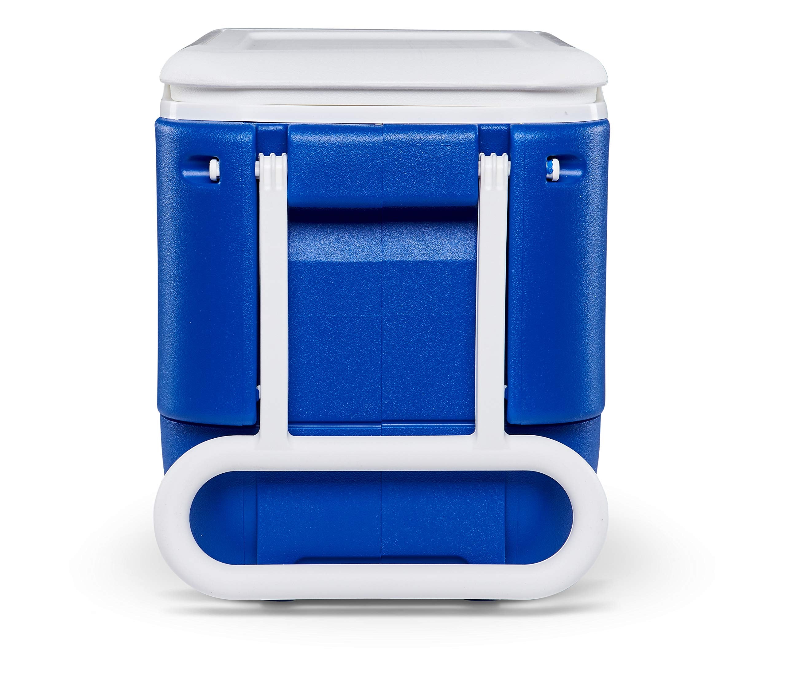 Igloo 38 Quart Wheelie Cooler,Blue (22.875? X 12.875? X 15.875?)