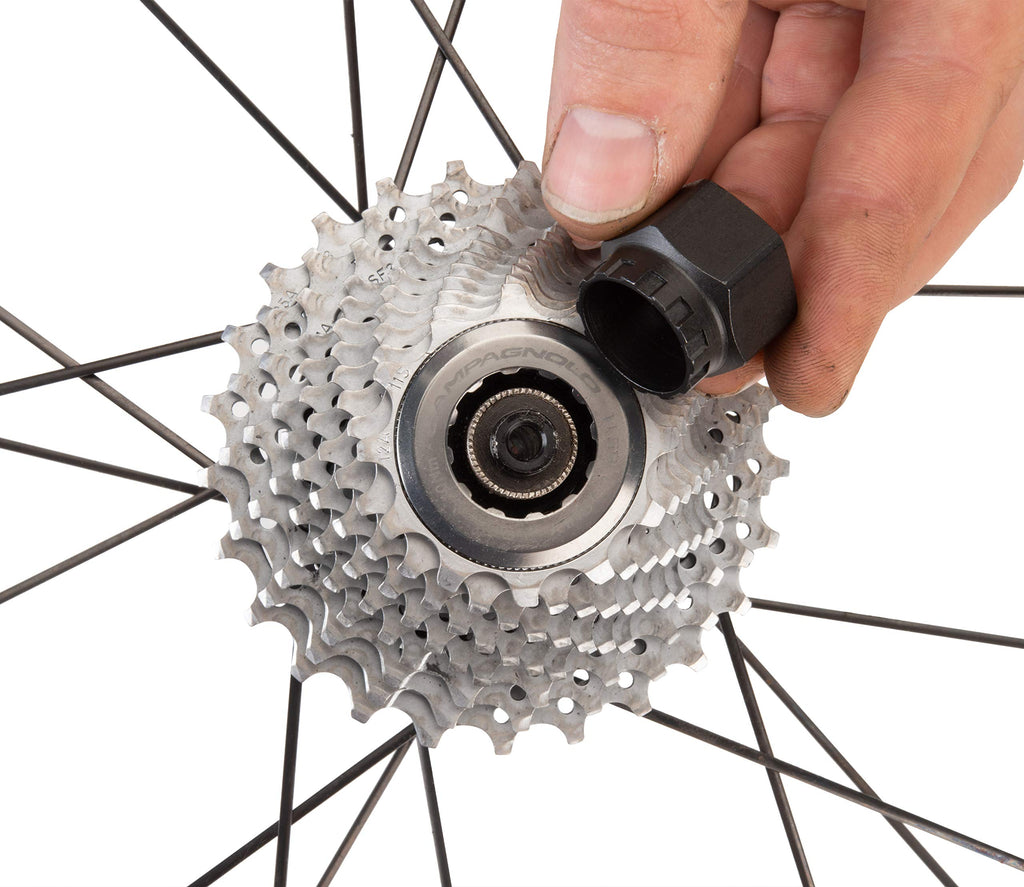 Park Tool Bbt-5/Fr-11 Bottom Bracket/Cassette Lockring Tool