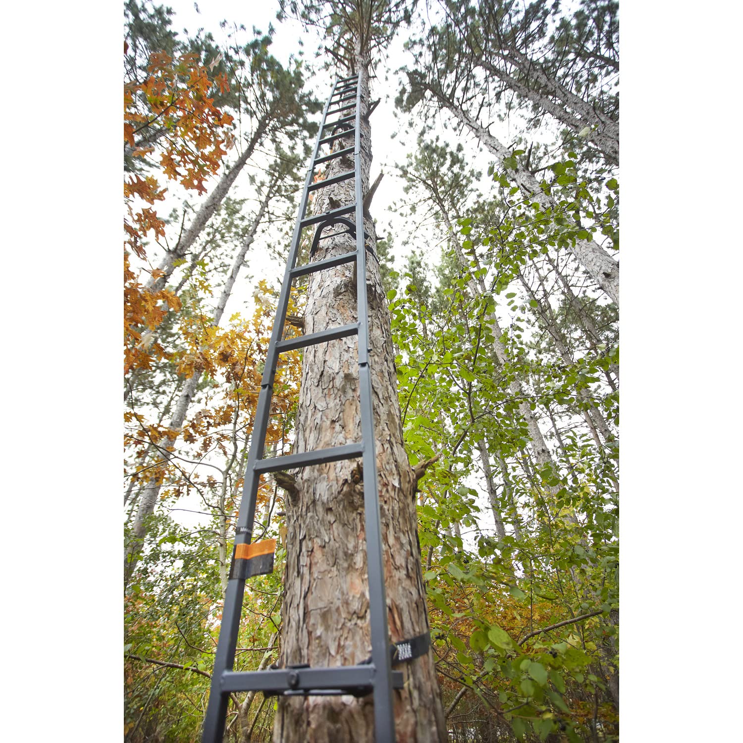 Guide Gear Climbing Ladder For Tree Stands, Climbing Equipment For Deer Hunting, 20