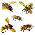 Fishing Flies Kit With Box - Nymphs, Dry, Wet, Streamers, Realistic Flies (Dozen Varieties Bee) 10Pcs