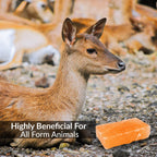 Himalayan Nature 100% Natural Himalayan Rock Deer Salt Licking Block - Animal Licking Mineral Salt Block, Natural Feed Salts Bri