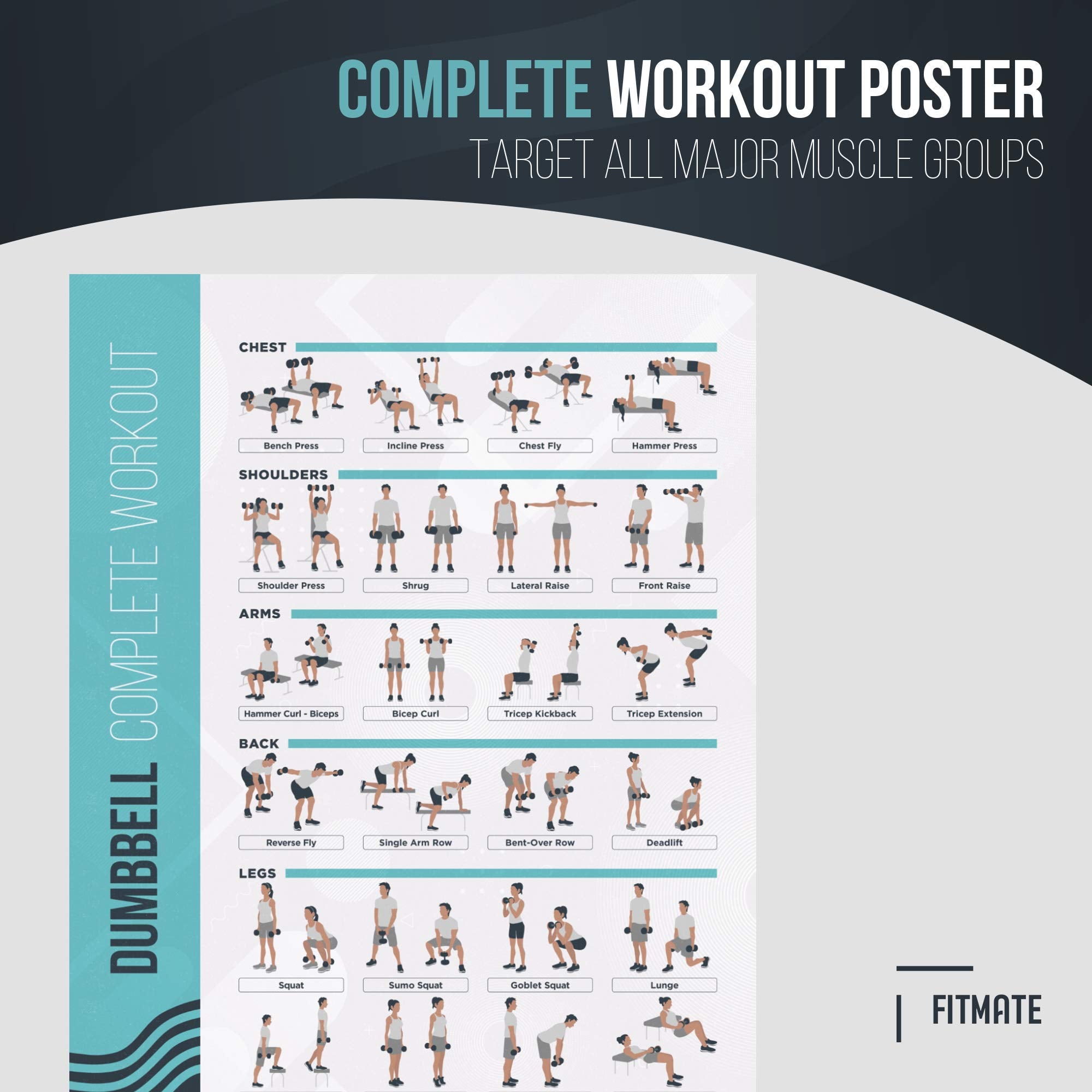 Fitmate Dumbbell Workout Exercise Poster - Workout Routine With Free Weights, Home Gym Decor, Room Guide (16.5 X 25 Inch)