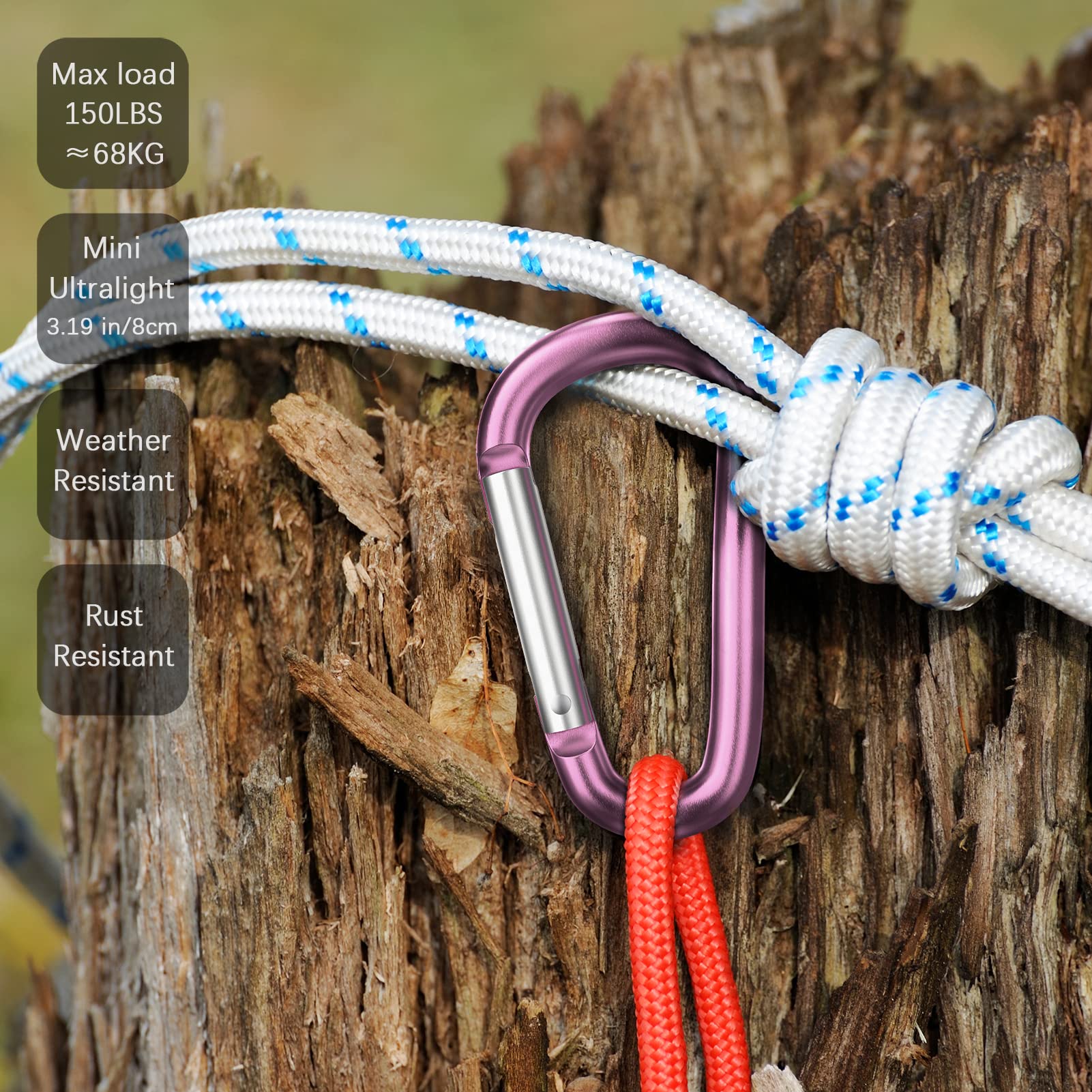 Sprookber 3'' Aluminum Carabiner D Ring, Caribeenerclips, Spring Snap Hookfor Keychain Clip,Set Of 10 (Pink)