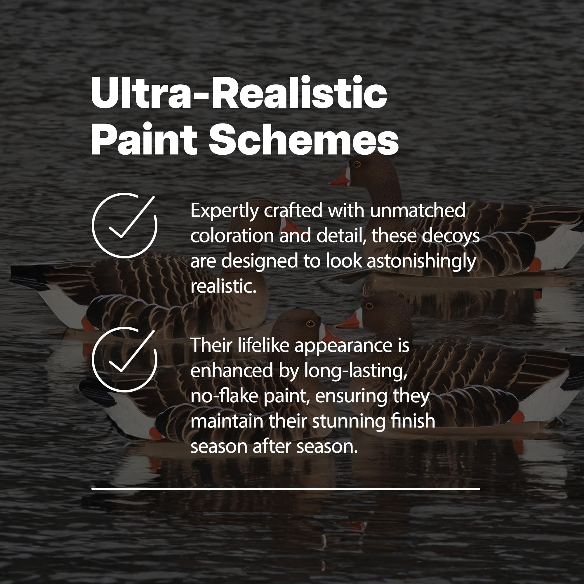 Avian-X Topflight Specklebelly Floating Goose Decoys With True To Life Postures For Hunting Use, Outdoor Sports, And Recreation