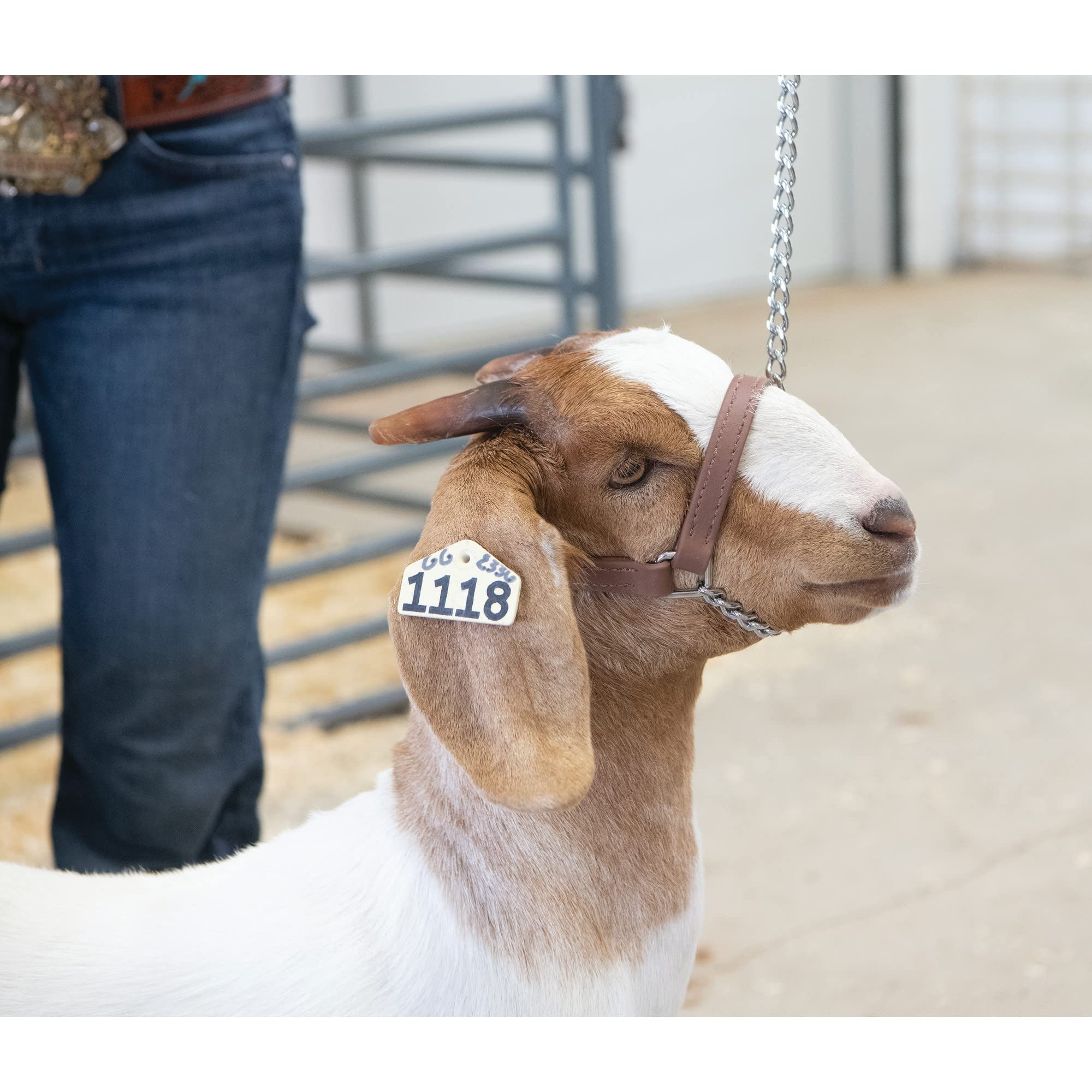 Weaver Leather Livestock Adjustable Brahma Webb Goat Halter