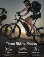Totguard Electric Bike, Bike For Adults 26'' Ebike With 350W Motor, 19.8Mph Mountain Lockable Suspension Fork, Removable 36V/10.