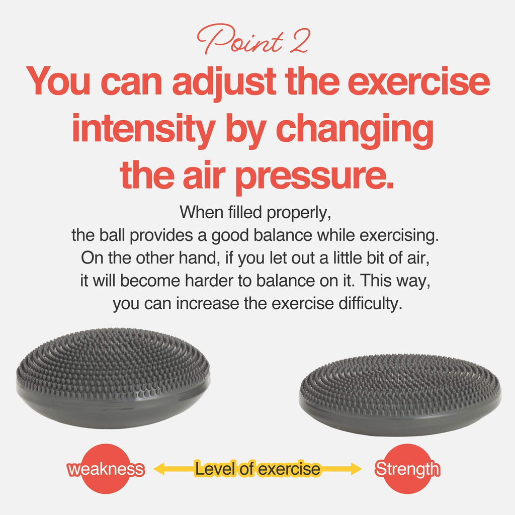 Primasole Balance Disc With Air Pump Wobble Cushion For Stability Workout 2 Pcs Cool Grey Color Pss91Nh021A
