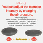 Primasole Balance Disc With Air Pump Wobble Cushion For Stability Workout 2 Pcs Cool Grey Color Pss91Nh021A
