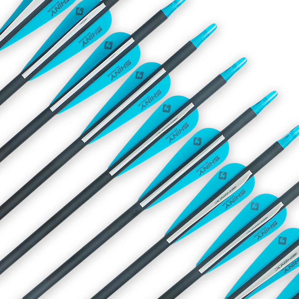 Tiger Archery 30Inch Carbon Arrow Practice Hunting Arrows With Removable Tips For Compound & Recurve Bow(Pack Of 12) (Light Blue