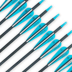 Tiger Archery 30Inch Carbon Arrow Practice Hunting Arrows With Removable Tips For Compound & Recurve Bow(Pack Of 12) (Light Blue