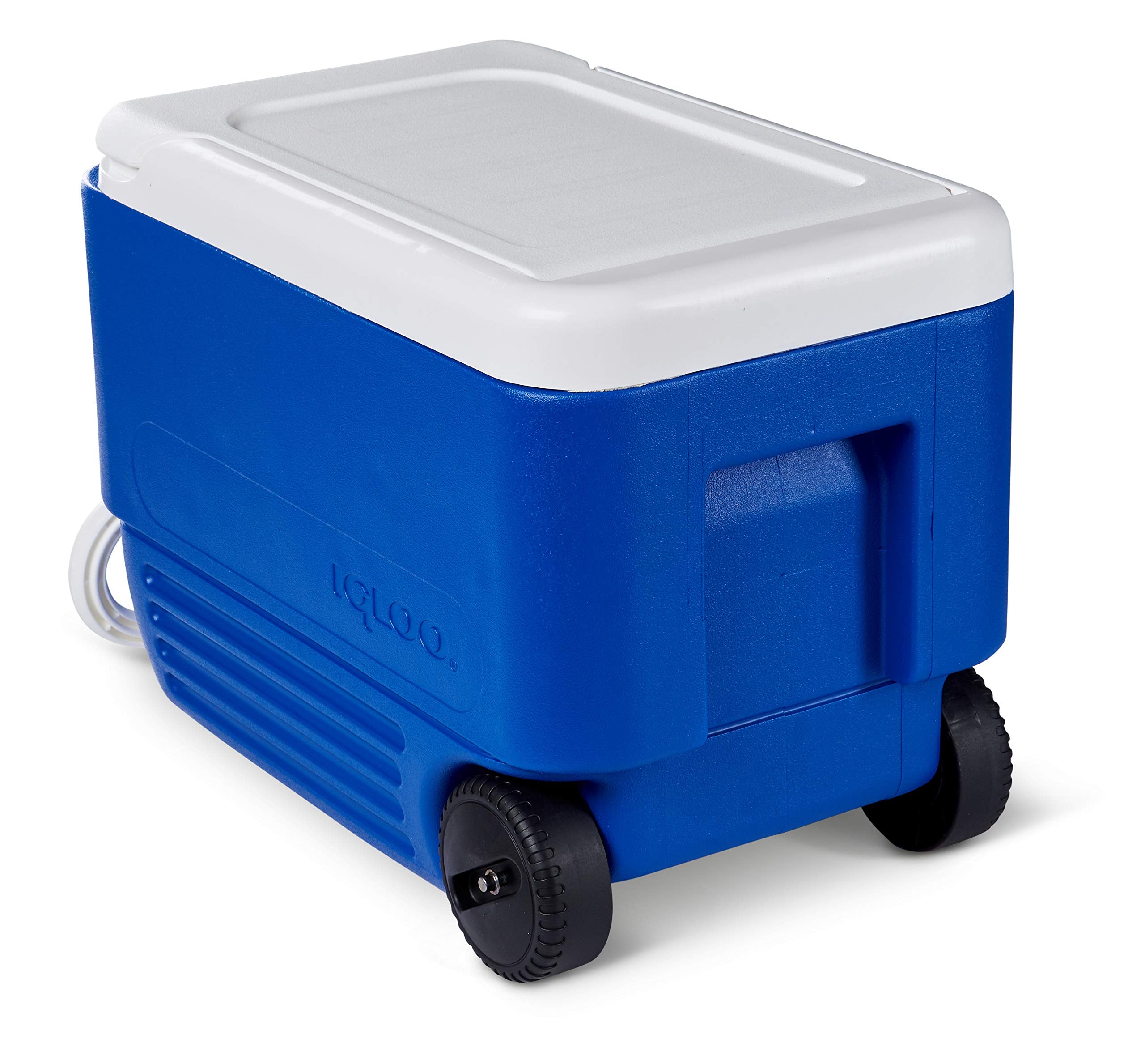 Igloo 38 Quart Wheelie Cooler,Blue (22.875? X 12.875? X 15.875?)