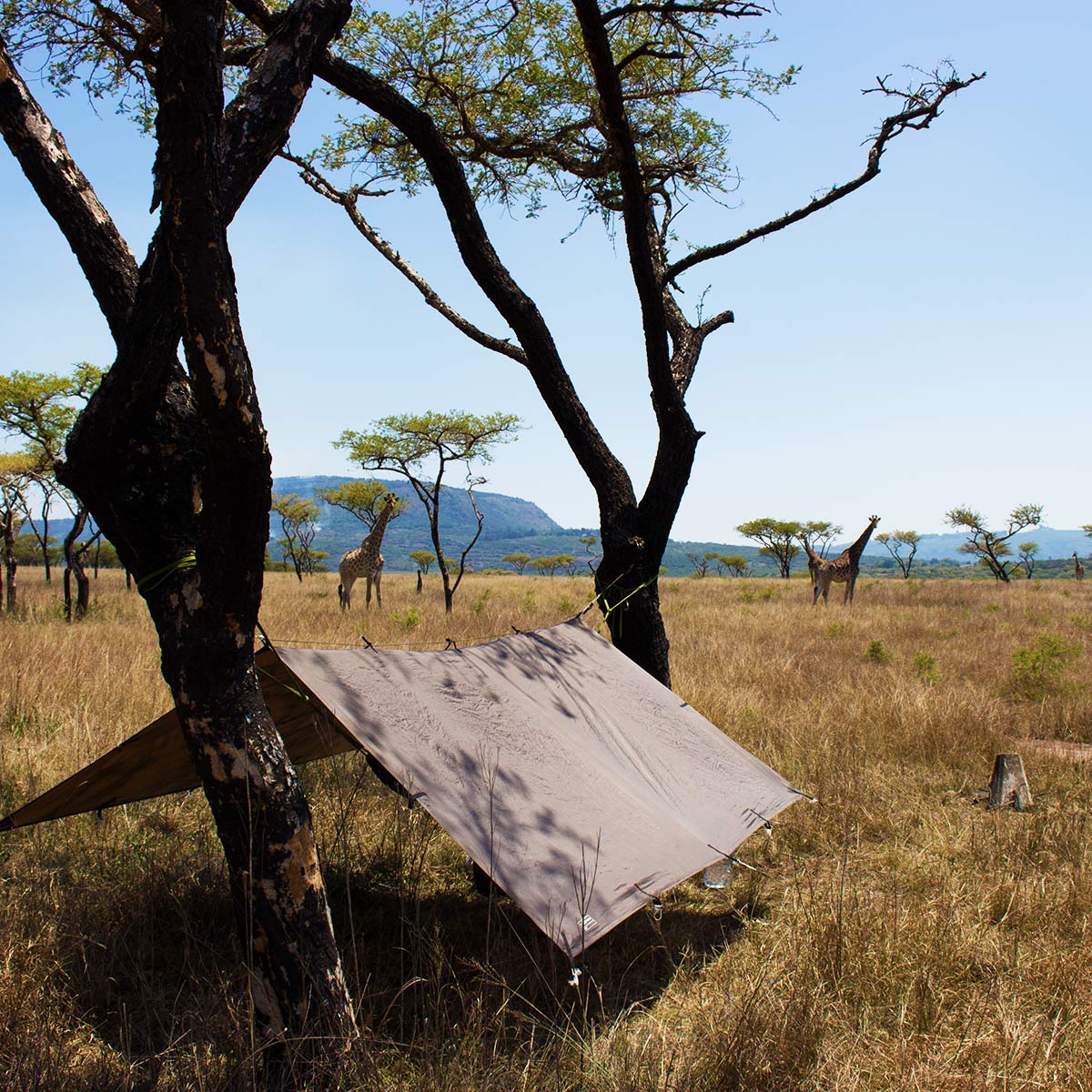Dd Hammocks - Dd Tarp 3X3 - Coyote Brown (10Ft X 10Ft) - 100% Waterproof - Lightweight & Multifunctional Rainfly Tarp Tent Shelt