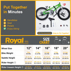 Royalbaby Freestyle Kids Bike Boys Girls 18 Inch Bmx Childrens Bicycle With Kickstand For Ages 5-8 Years, Green