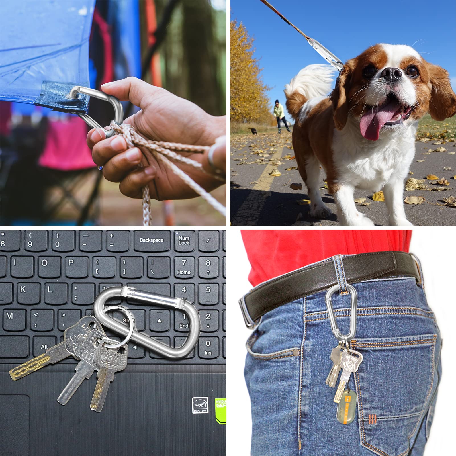 Sprookber 3'' Aluminum Carabiner D Ring, Caribeenerclips, Spring Snap Hookfor Keychain Clip,Set Of 10 (Silver)