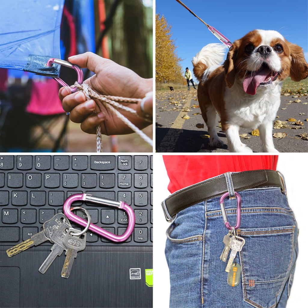 Sprookber 3'' Aluminum Carabiner D Ring, Caribeenerclips, Spring Snap Hookfor Keychain Clip,Set Of 10 (Pink)