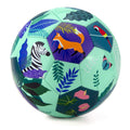 Daball Kid Soccer Ball, Pump and Gift Box Included (Size 3, Animal Kingdom)