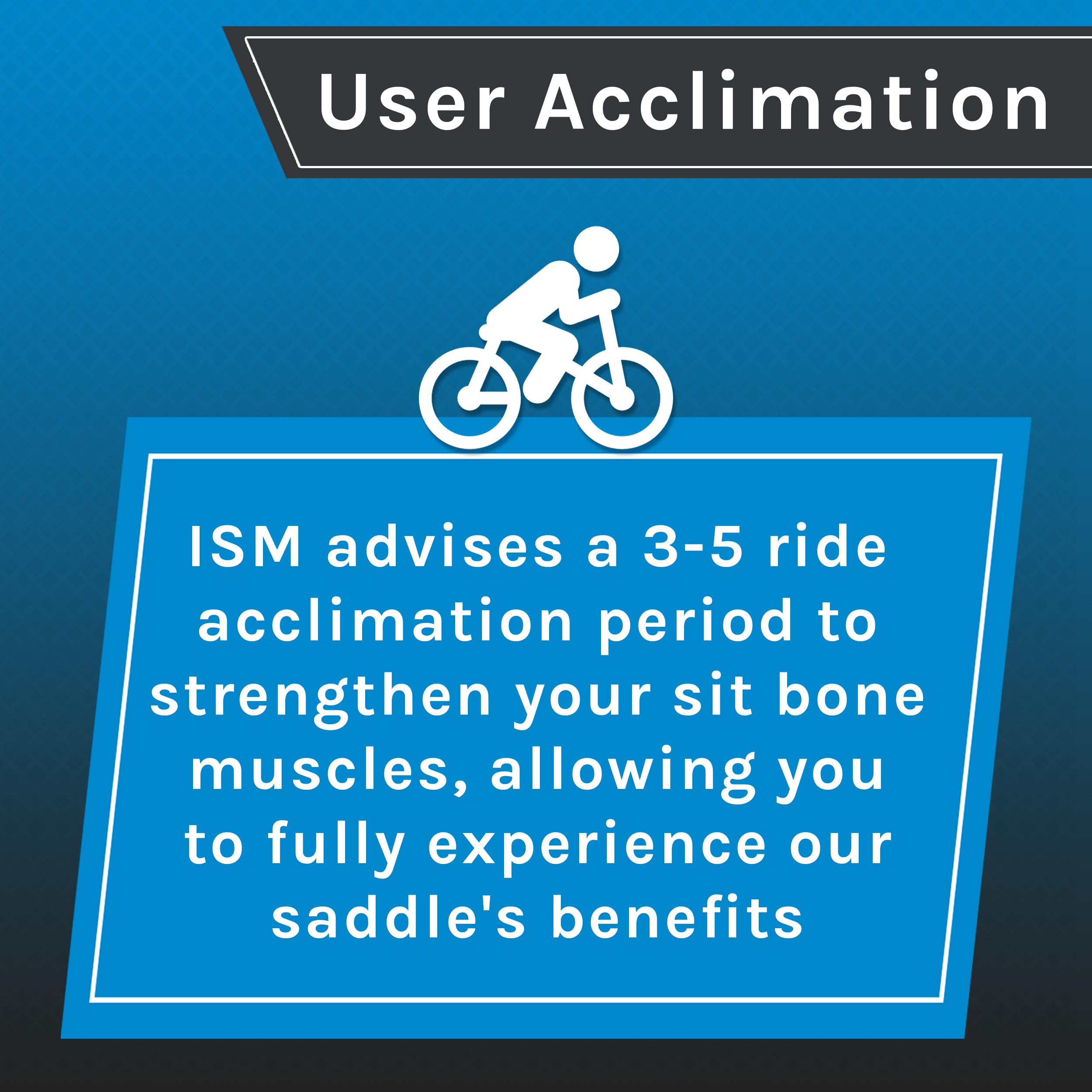 Ism Berkley Comfortable Bike Seat For Men And Women - Noseless Bicycle Seat For Stationary Bikes, Beach Cruisers, And Hybrid Bik