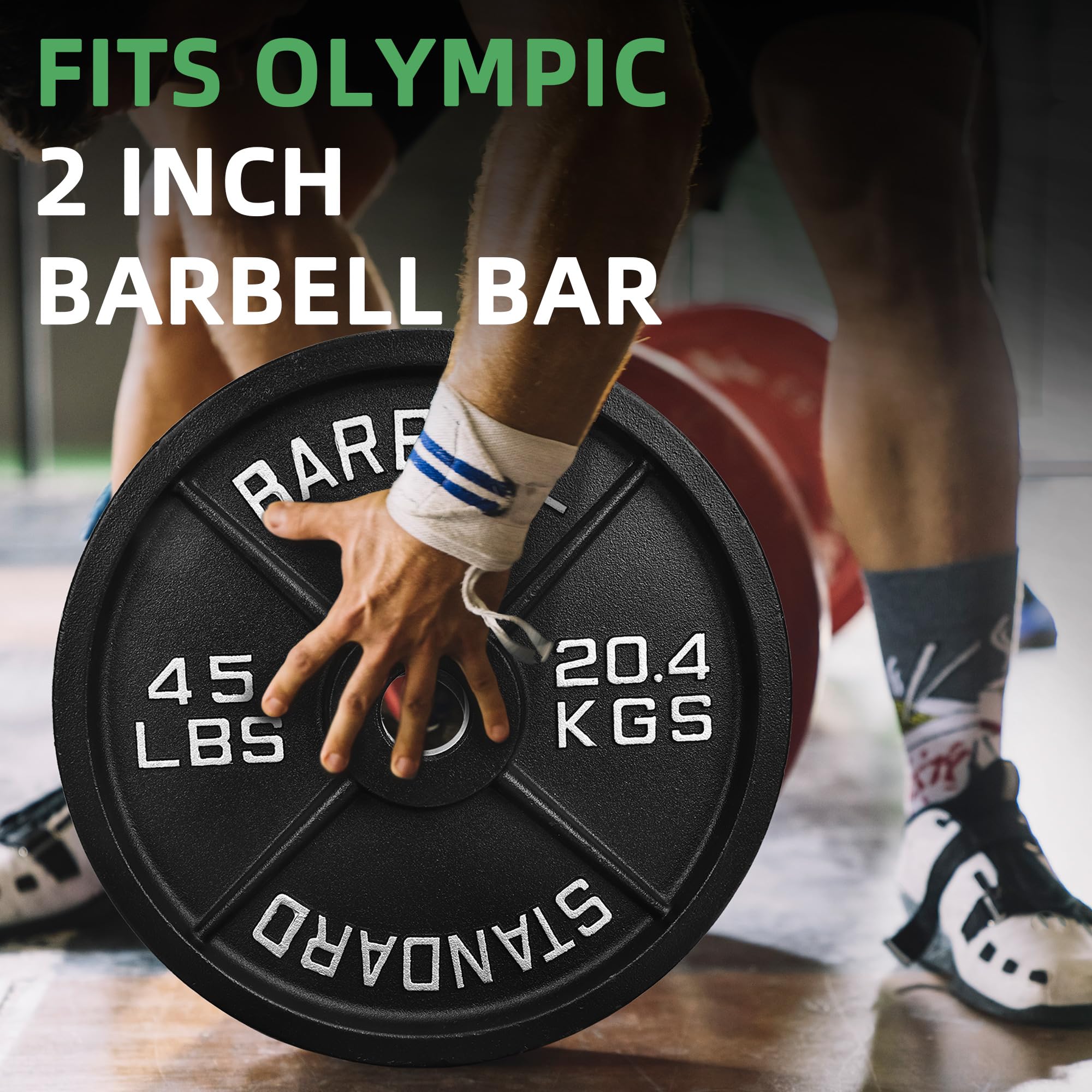 Fitvids Olympic Cast Iron 2-Inch Weight Plate for Strength Training & Weightlifting, Multiple Weights Available, 45LB (Pair)