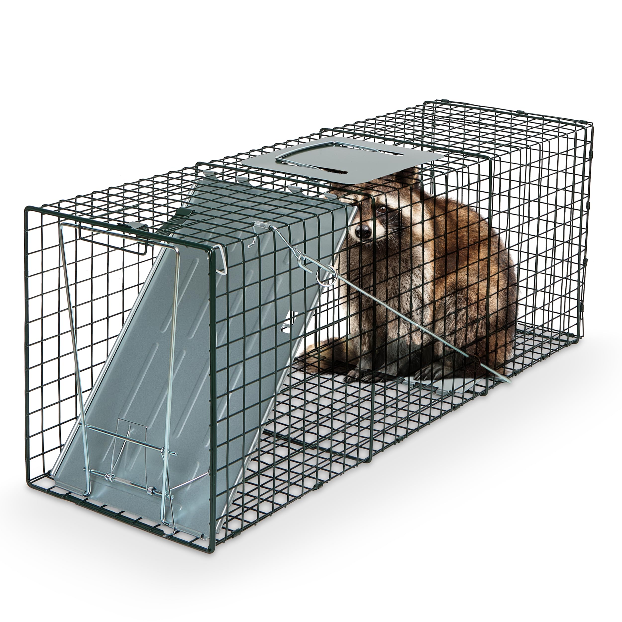 Humane Way Sentinel 32 Inch Live Animal Trap - No Assembly Required - Safe Medium Traps for All Animals - Raccoons, Cats, Ground