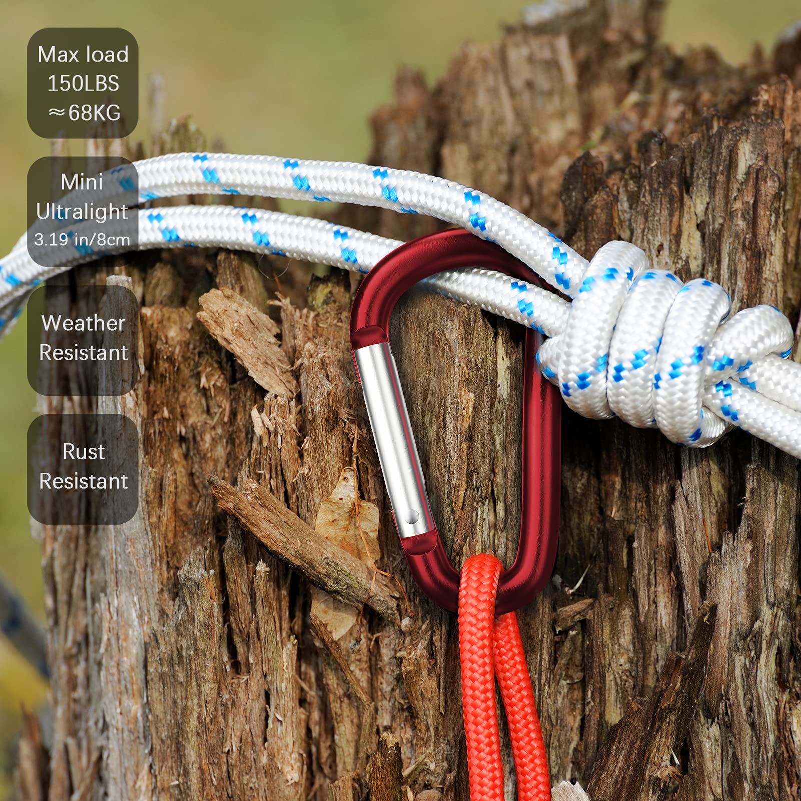 Sprookber 3'' Aluminum Carabiner D Ring, Caribeener