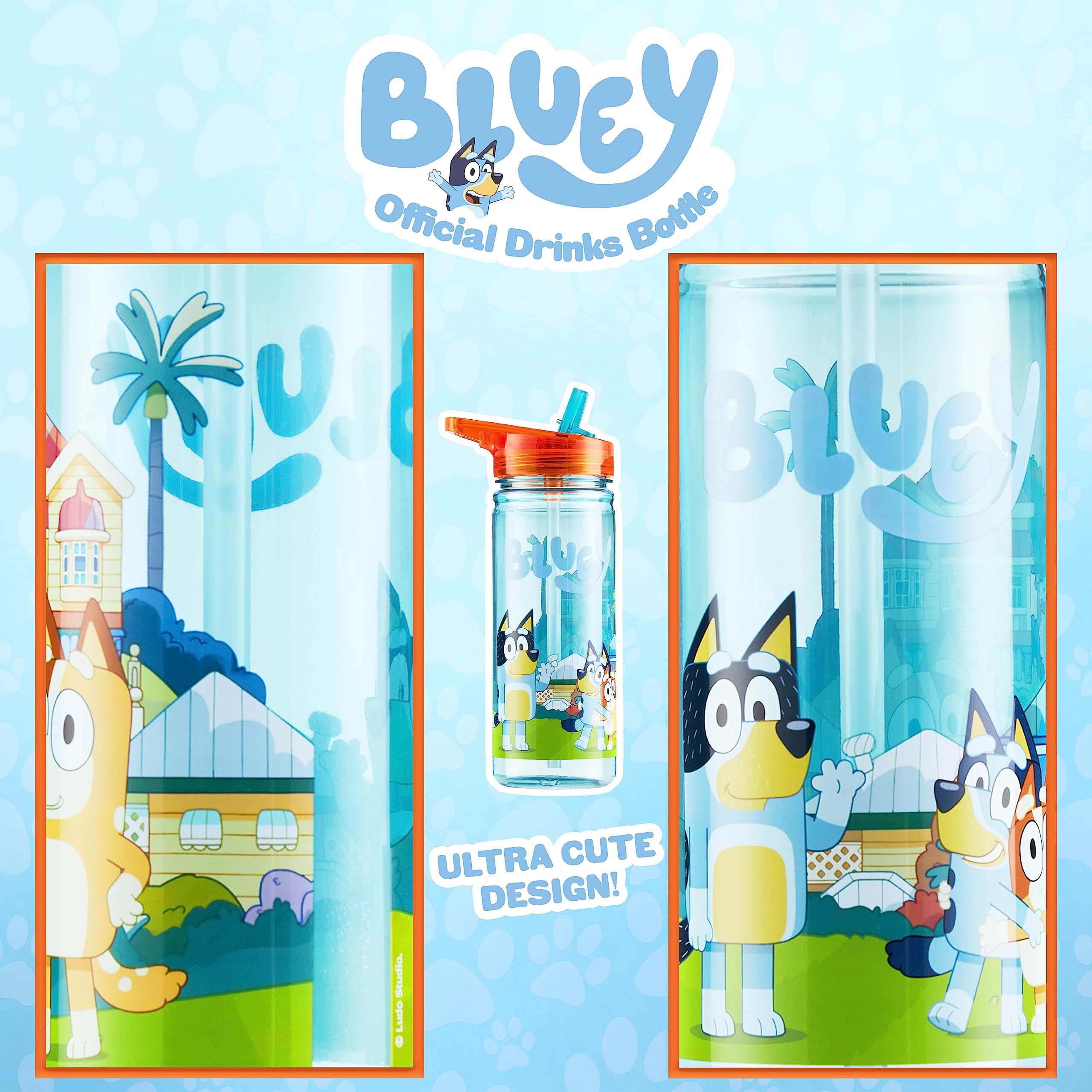 Bluey 560Ml/580Ml Plastic Water Bottle With Straw, Bpa Free, 3D Travel Reusable Bottle, Perfect For Nursery, Preschool, Sports,