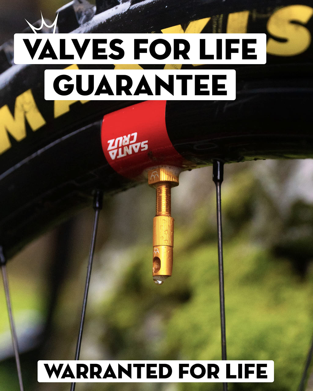 Peaty'S X Chris King (Mk2) Tubeless Valves, 42Mm, Turquoise