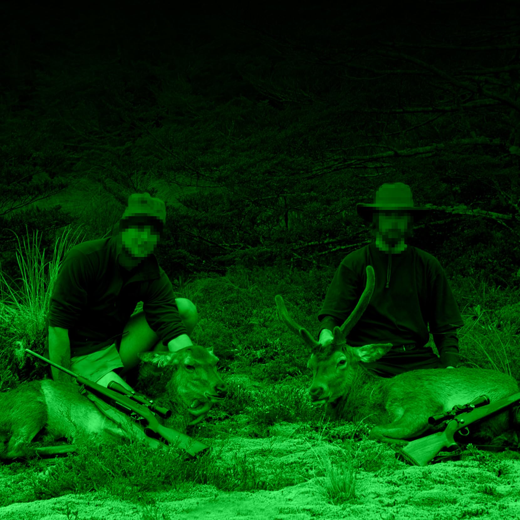 Hog Light For Night Hunting,18000Lm Powered Feeder Light(Green) Solar Lights For Hunting Hogs, Coyote, Varmint, Deer, Motion Act