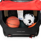 Burley Honey Bee, 2 Seat Kids Bike Trailer & Stroller