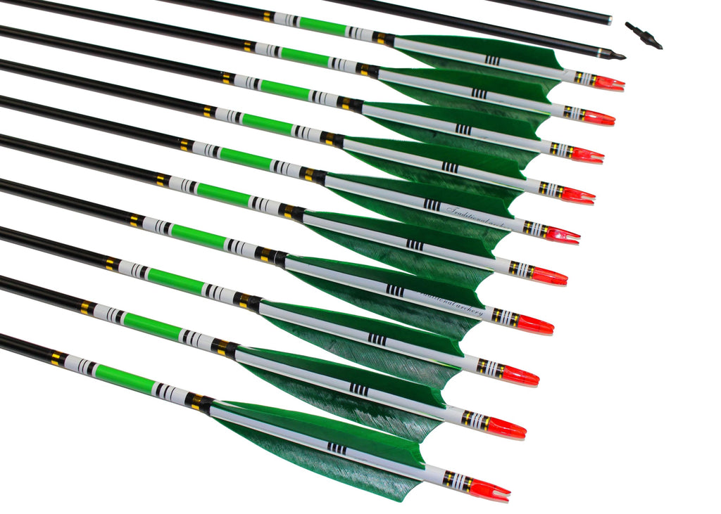 Ttfly Fletching 31 Inch Carbon Arrows Green Turkey Feather Targeting Arrows Archery With Screw-In Field Tips Hunting&Practice(12