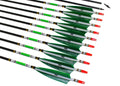 Ttfly Fletching 31 Inch Carbon Arrows Green Turkey Feather Targeting Arrows Archery With Screw-In Field Tips Hunting&Practice(12