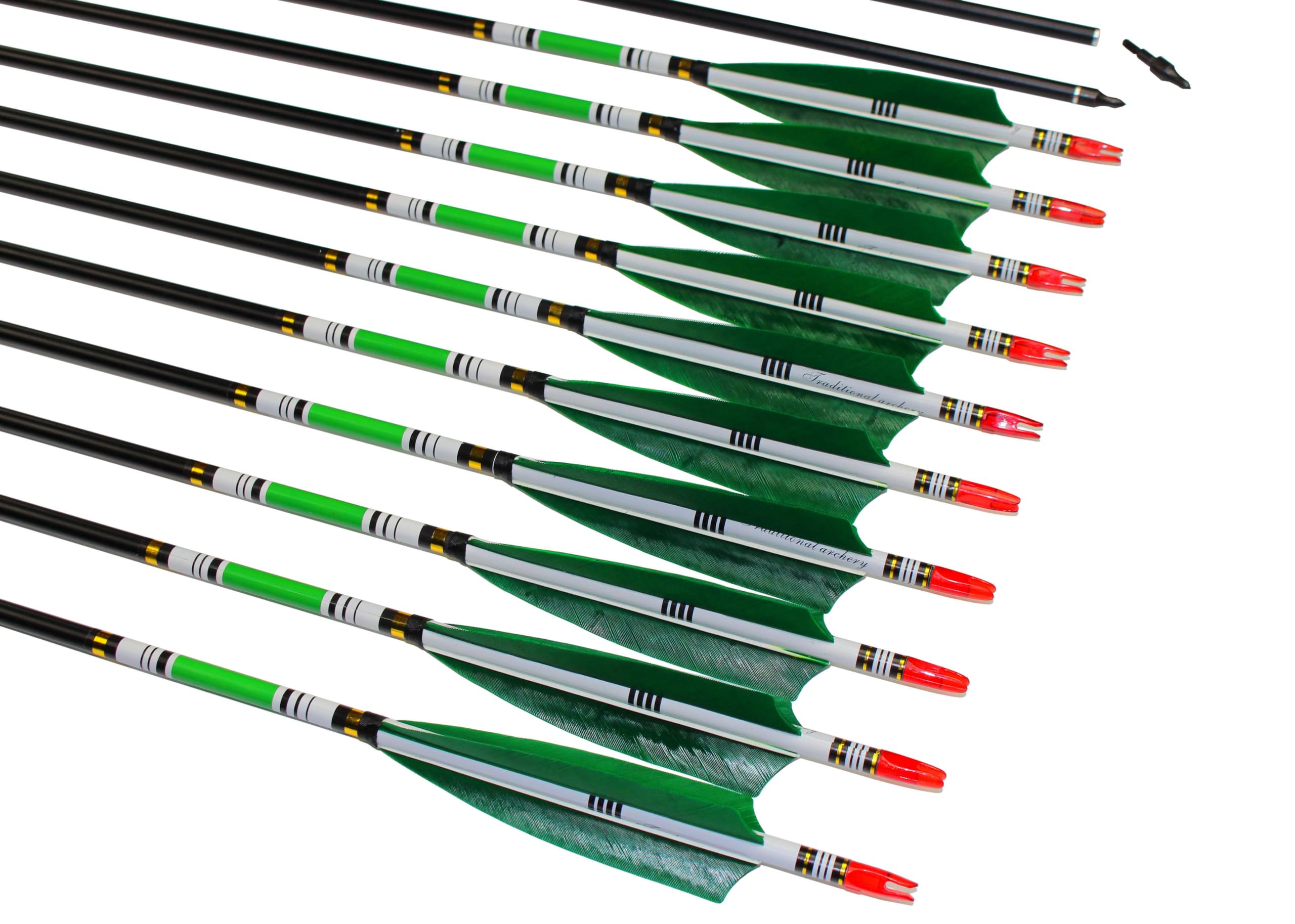 Ttfly Fletching 31 Inch Carbon Arrows Green Turkey Feather Targeting Arrows Archery With Screw-In Field Tips Hunting&Practice(12