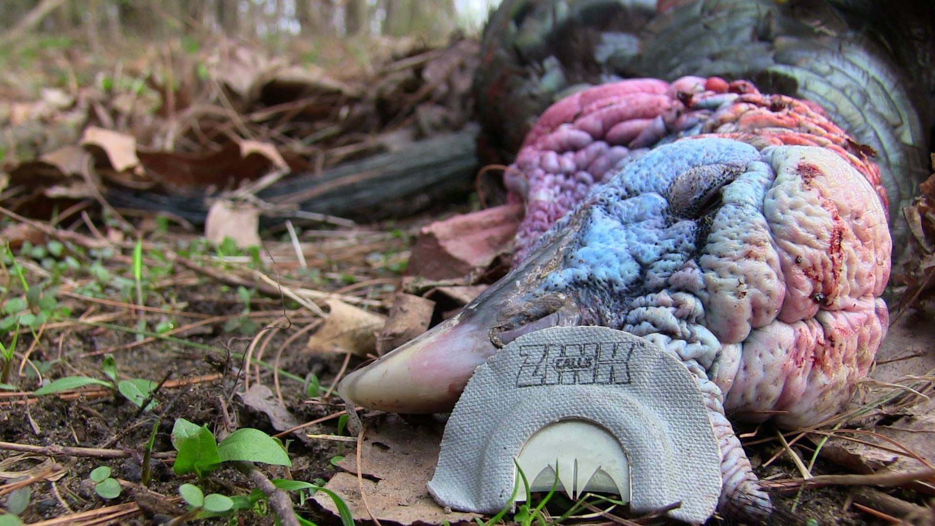 Zink Z-Combo Waterfowl Marsh Field Reed Forest Water Turkey Gobbling Yelps Clucks Purrs Diaphragm Combo-Cut Split V Mouth Call.