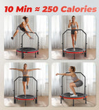 BCAN 40 Foldable Mini Trampoline Max Load 330lbs, Fitness Rebounder with Adjustable Foam Handle, Exercise Trampoline for Adults