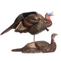 Dave Smith Decoy Breeding Pair