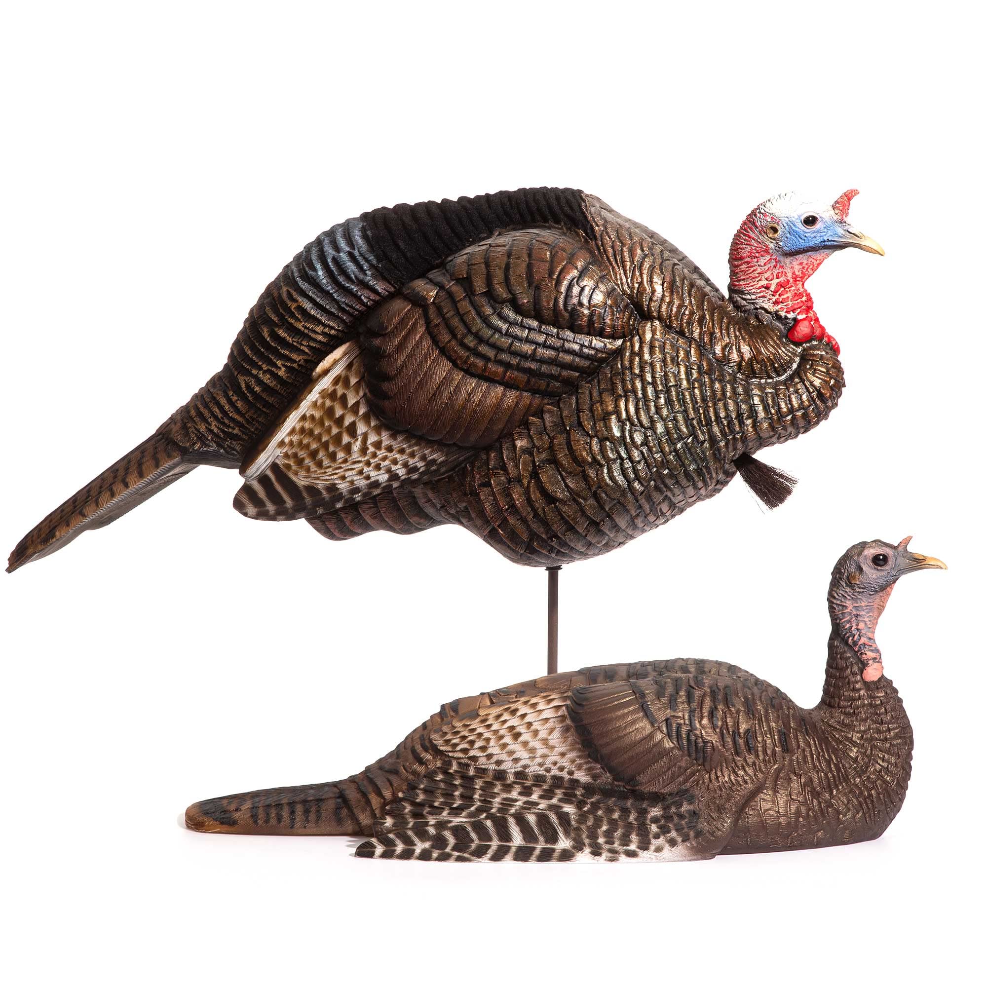 Dave Smith Decoy Breeding Pair