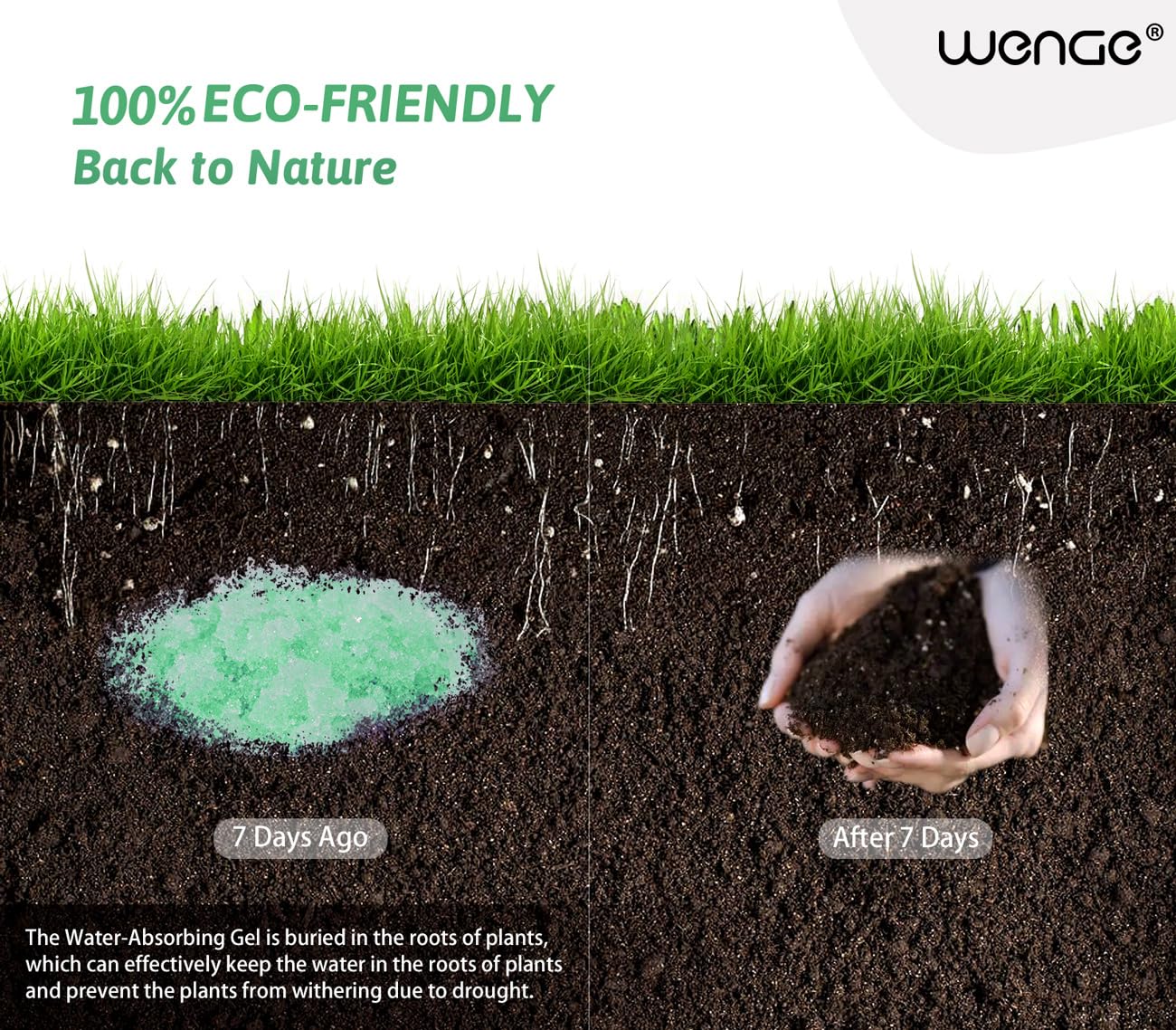 Wenge Urine Super Absorbent, Solidifier - 180 Use Poo Gel For Camping, Eco Absorbent Liquid Waste Gelling And Deodorizing Powder