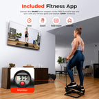 Sunny Health & Fitness Advanced Twist Stepper Machine Workout Cardio Mini Stair Master Climber Thigh Space Twist Stepper Resista