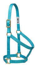 Weaver Leather Basic Non-Adjustable Nylon Horse Halter, Turquoise, 1 Small Horse