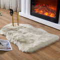 Easyjoy Ultra Soft Fluffy Shaggy Area Rug Faux Fur Rug Chair Cover Seat Pad Fuzzy Area Rug For Bedroom Floor Sofa Living Room (2