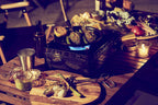Fore Winds By Iwatani Rugged Camp Butane Stove