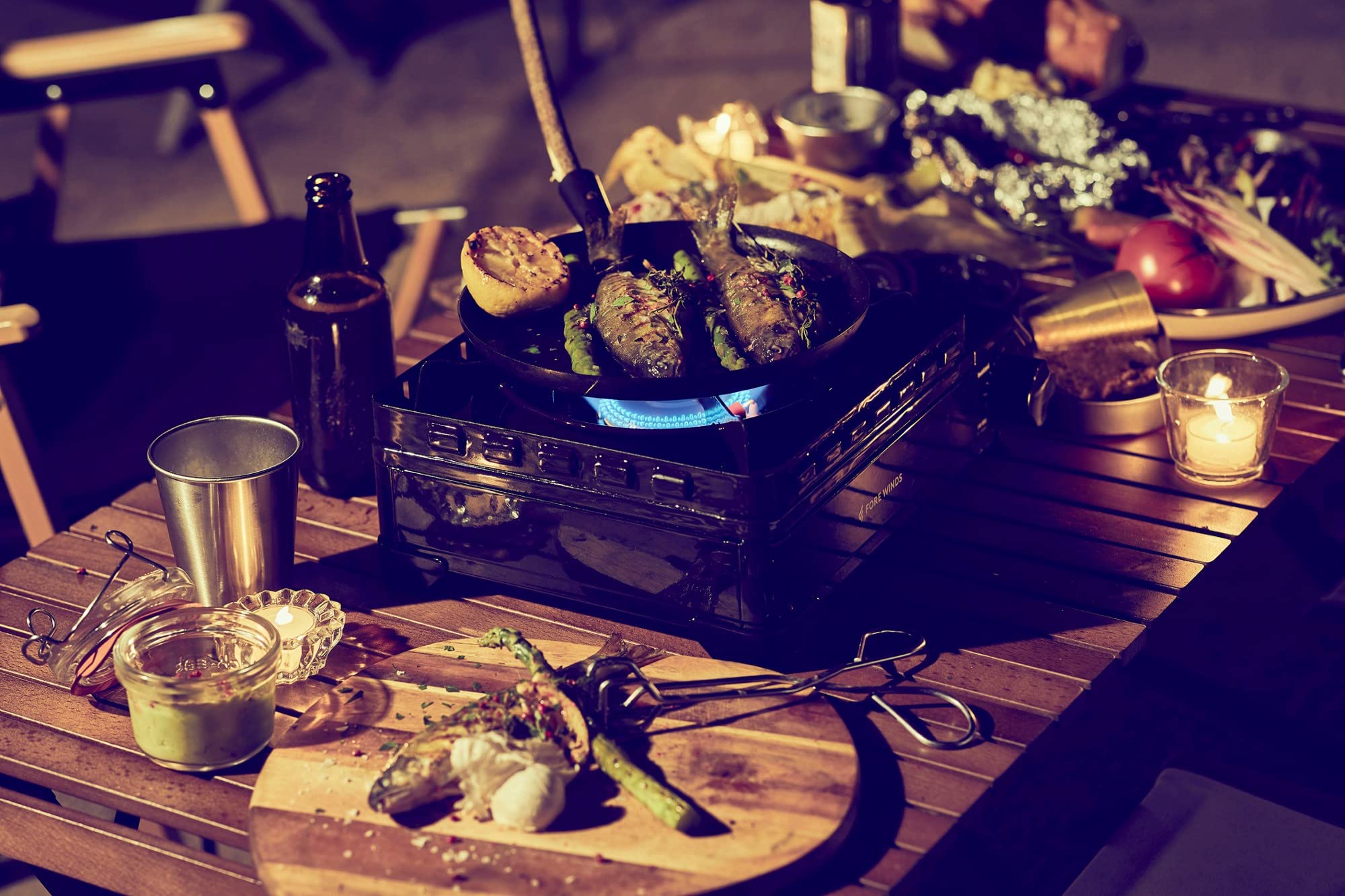 Fore Winds By Iwatani Rugged Camp Butane Stove