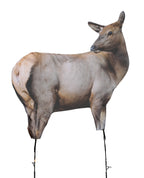 Rmef Cow Elk By Montana Decoy