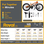 Royalbaby Kids Bike Boys Girls Freestyle Bmx Bicycle With Kickstand Gifts For Children Bikes 20 Inch Orange (Rb20B-6O)