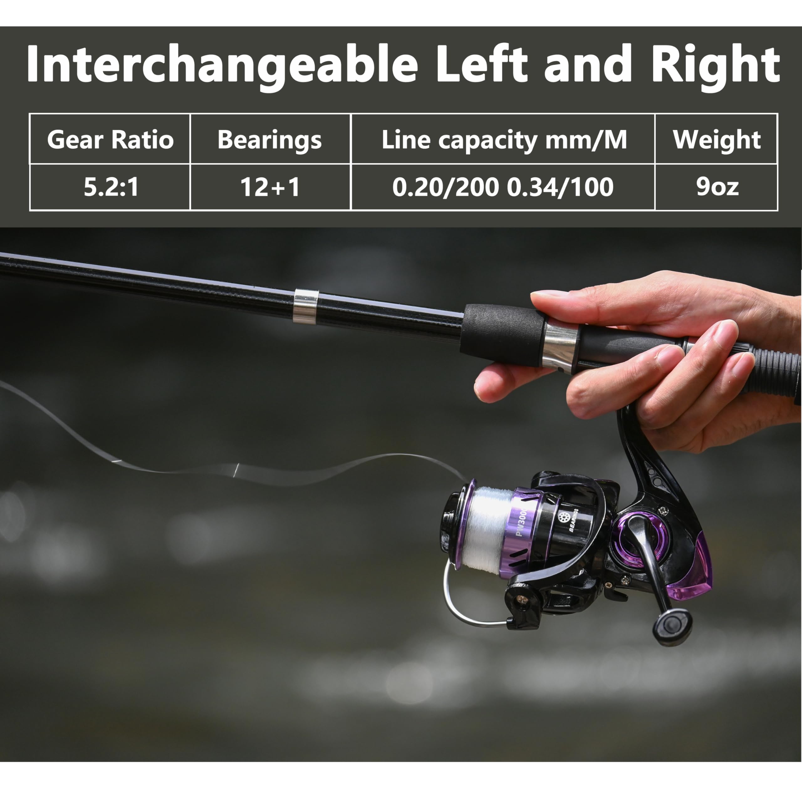 Ololyap Fishing Pole Combo 2Pcs Telescopic Fishing Rod And Aluminum Reel Combos With Carrier Bag Sea Saltwater Freshwater Fishin