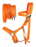 English Western Cob Horse Nylon Halter Bridle Combo Reins Lime Orange 60111OR-c
