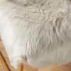Easyjoy Ultra Soft Fluffy Shaggy Area Rug Faux Fur Rug Chair Cover Seat Pad Fuzzy Area Rug For Bedroom Floor Sofa Living Room (2