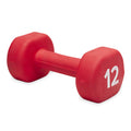 Gaiam Dumbbell Hand Weight (Sold In Singles) - Neoprene Coated Exercise & Fitness Dumbbell For Home Gym Workouts And Strength Tr