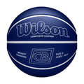 WILSON Chris Brickley Weighted Training Basketball - Size 7, Blue