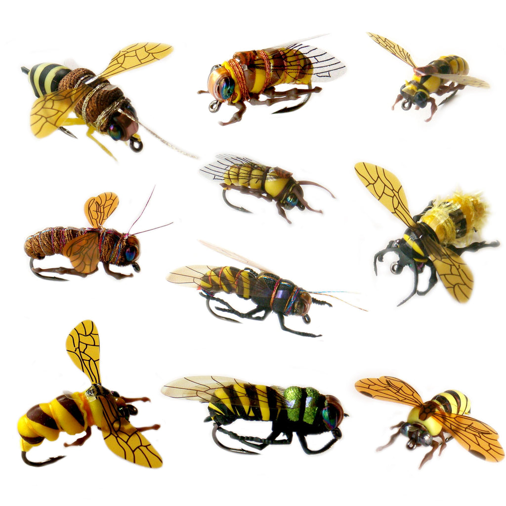 Fishing Flies Kit With Box - Nymphs, Dry, Wet, Streamers, Realistic Flies (Dozen Varieties Bee) 10Pcs